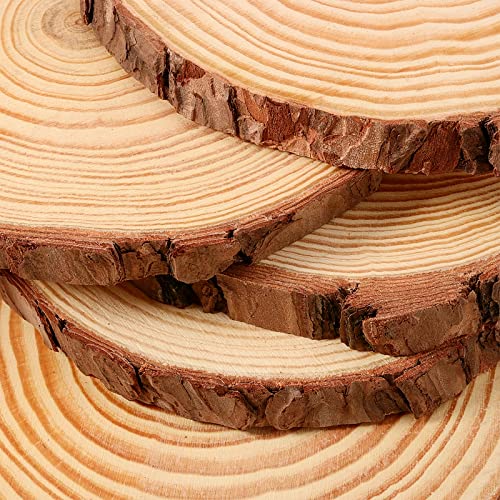 12 PCS 5.5 5.9 Inches Natural Unfinished Wood Slices (12 Count)