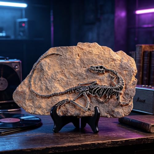 Resin Dinosaur Fossil Statue Model Simulated Skeleton Home Office Display Decorative Craft Box Decoration