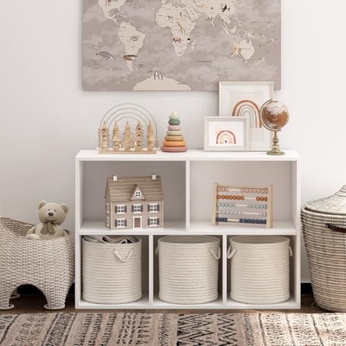 Wooden 5 Cube Storage Organizer with Closed Back Panel