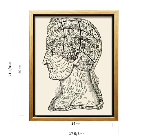 A Symbolic Head Phrenology Print 1899
