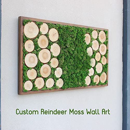 Preserved Reindeer Craft Moss Natural Green DIY Kit Gardenning Art Wall Florist Easter Table Wedding