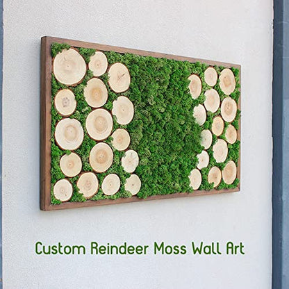 Preserved Reindeer Craft Moss Natural Green DIY Kit Gardenning Art Wall Florist Easter Table Wedding