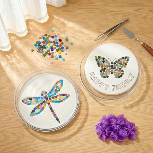 10PCS Stepping Stone Kit Includes Round Cement Molds