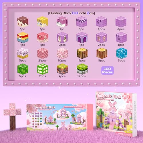 Magnetic Blocks (100 Count)
