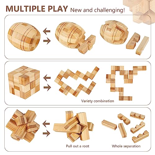 15pcs Wooden Brain Teaser Puzzles (15 Count)