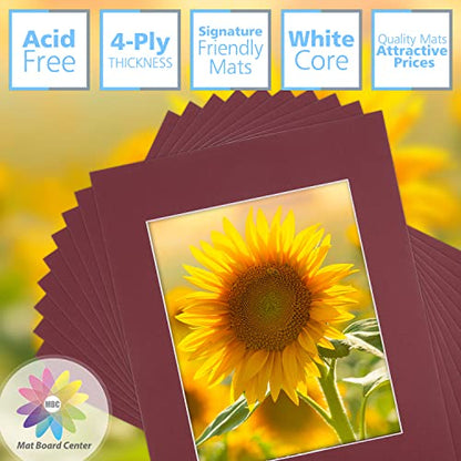 Mat Board Center 10 Pack 11x14 Photo Mats for 8x10 Picture (10 Count)