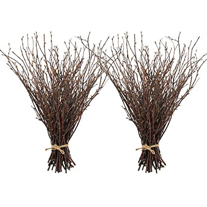 100PCS Natural Dried Birch Twigs (100 Count)