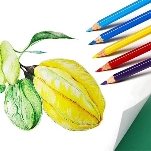 50Pcs Colored Pencils (50 Count)