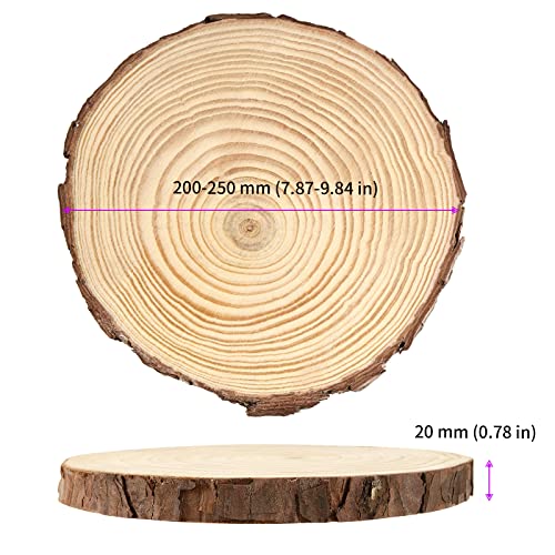 6 PCS 8 10 Inches Natural Unfinished Wood Slices (6 Count)