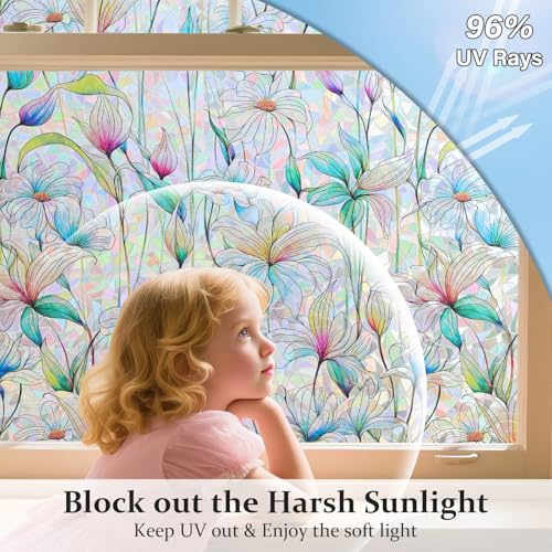 Decorative Window Privacy Film