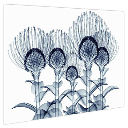 Frameless Free Floating Tempered Glass Panel Graphic Wall Art Ready to Hang