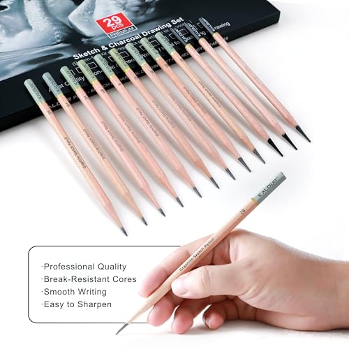 29 Pro Sketching Drawing Pencils Set with Roll (29 Count)
