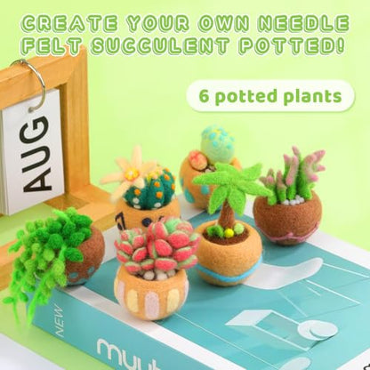 Needle Felting Kit