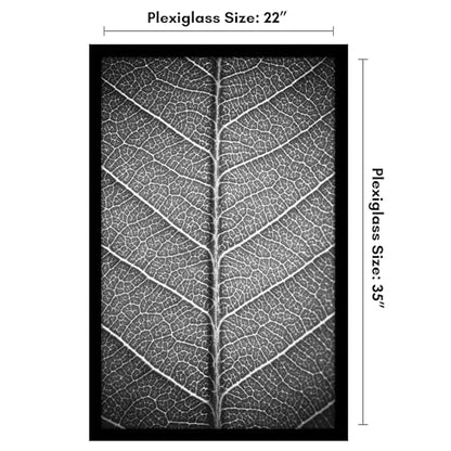 22x35 Poster Frame