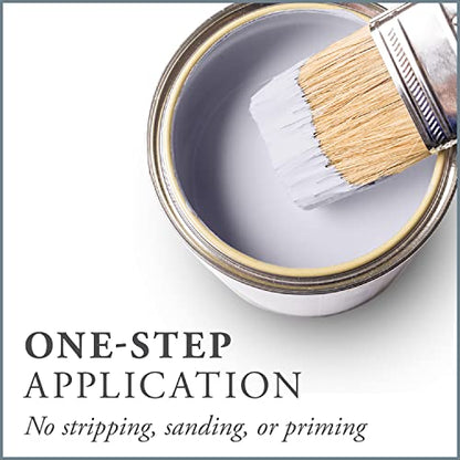 Chalk Based One Step Paint for Furniture (32 Ounce)