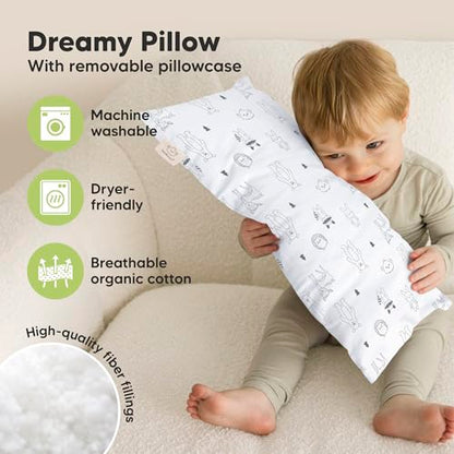 Toddler Pillow with Pillowcase