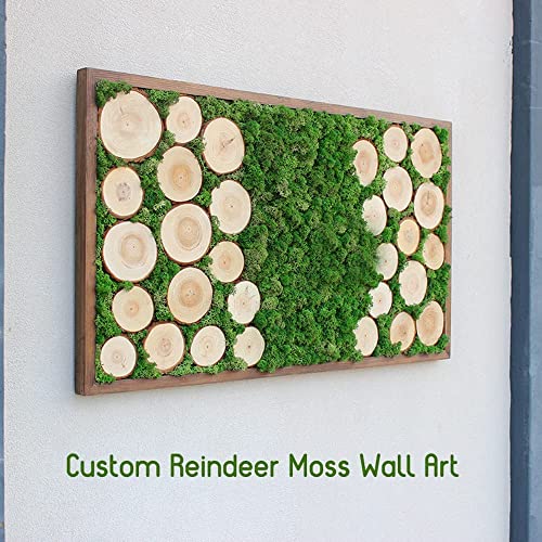 Preserved Reindeer Moss Natural Green DIY Kit Terrariums Gardenning Art Wall Decor Florist Decor Easter Table Decor Wedding Decor