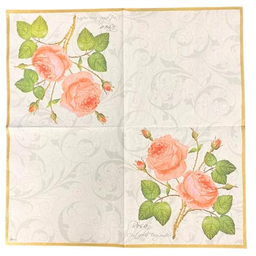 20 ct 13x13 Flowers Paper Luncheon Decoupage Napkins (20 Count)