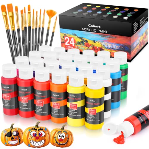24 Colors Acrylic Paint Set with 12 Brushes (48 Fl Oz)