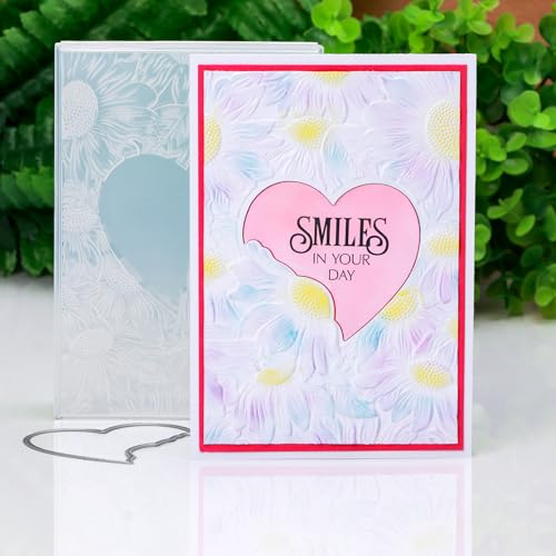 3D Embossing Folder and Metal Die Set for Card Making