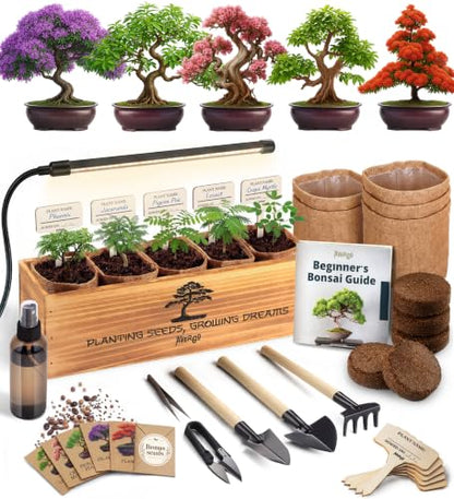 Bonsai Tree Kit Deluxe + Growing Light