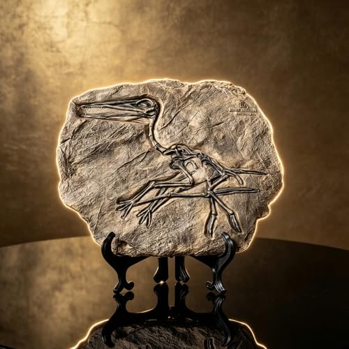 Resin Dinosaur Fossil Statue Model Simulated Skeleton Home Office Display Decorative Craft Box Decoration