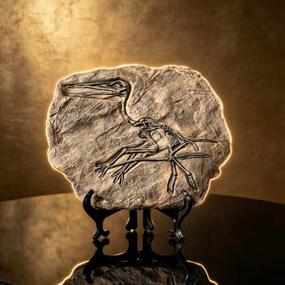 Resin Dinosaur Fossil Statue Model Simulated Skeleton Home Office Display Decorative Craft Box Decoration