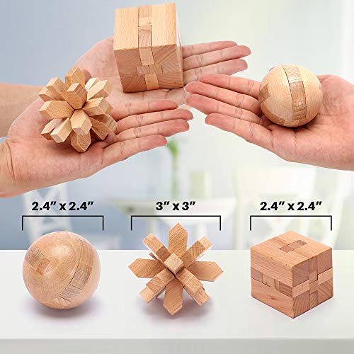 Brain Teasers Metal and Wooden Puzzles for Kids and Adults 9 Pack (9 Count)