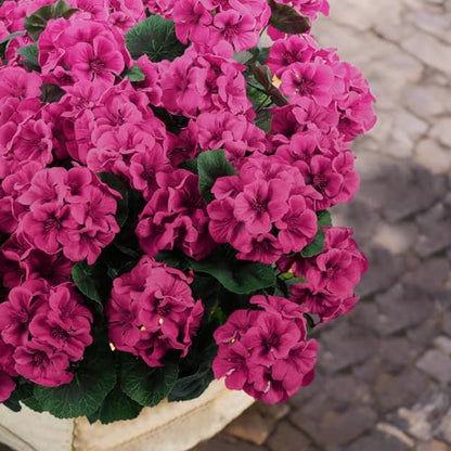 6 Pcs Artificial Geranium Flowers for Outdoors Geraniums Silk Flowers Outdoor UV Resistant Garden Plants Faux Flowers for Home Kitchen Table Centerpieces Decor