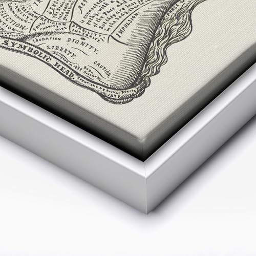 A Symbolic Head Phrenology Print 1899