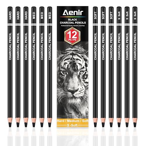 Charcoal Pencils for Drawing