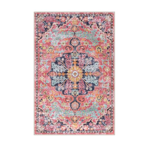 Reine 6x9 Area Rugs Machine Washable Area Rugs for Living Room