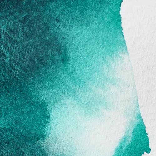 Professional Watercolor