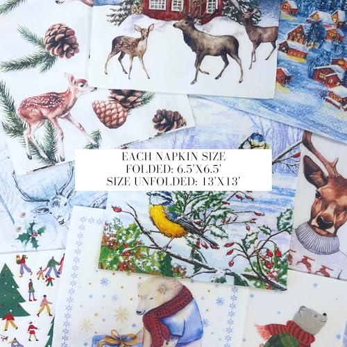 Mystery Pack Decoupage Paper Napkins (20 Count)