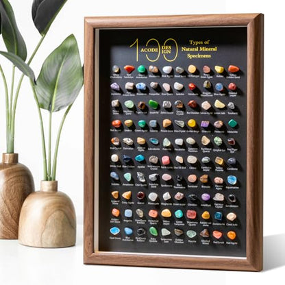 Natural Mineral Specimen Shadow Box