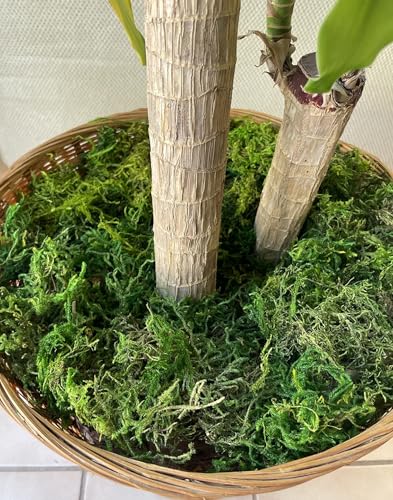 Artificial Moss (10.5 Ounce)
