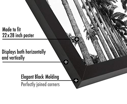 22x28 Poster Frame
