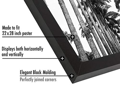 22x28 Poster Frame