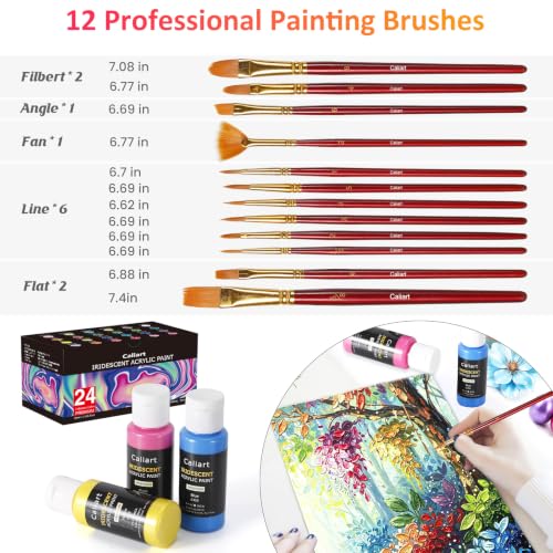 24 Chameleon Colors Iridescent Acrylic Paint Set with 12 Brushes ﻿ (48 Fl Oz)