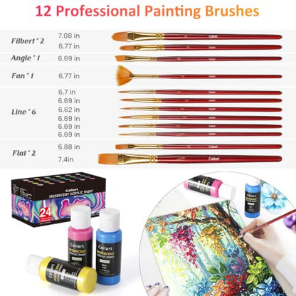 24 Chameleon Colors Iridescent Acrylic Paint Set with 12 Brushes ﻿ (48 Fl Oz)