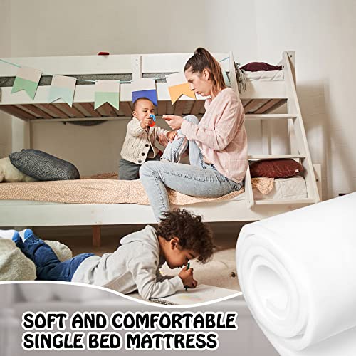 1 Pack Upholstery Foam Sheet