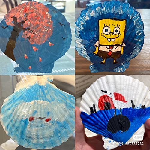 21Pcs Natural Scallop Sea Shells
