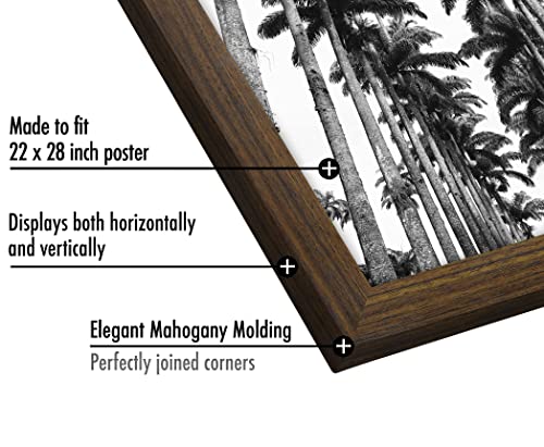 22x28 Poster Frame