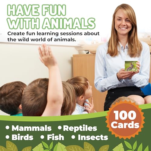 100 Animal Insect & Ocean Creatures Real Picture Flash Cards