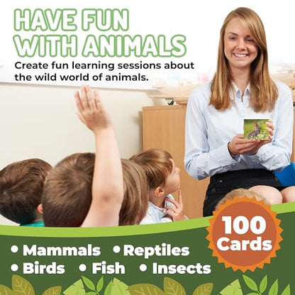 100 Animal Insect & Ocean Creatures Real Picture Flash Cards