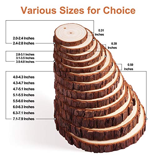 Unfinished Wood Slices with Hole (30 Count)