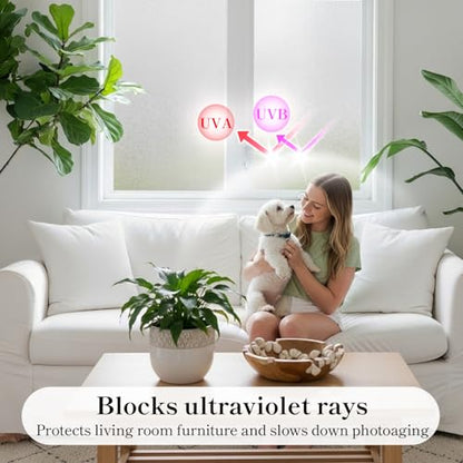 Frosted Glass Window Privacy Film with Tools