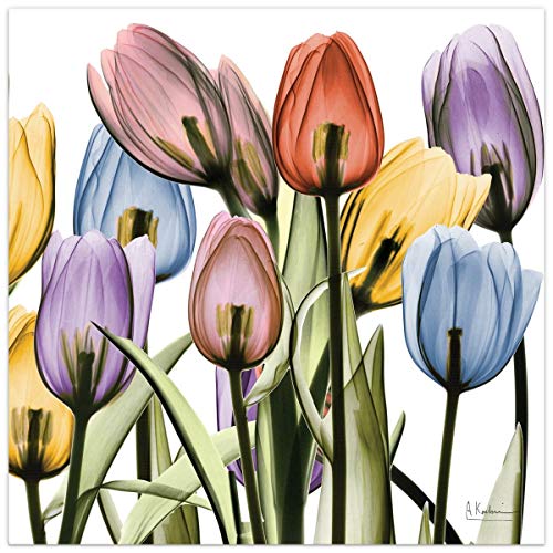 Frameless Free Floating Tempered Glass Panel Graphic Wall Art Ready to Hang