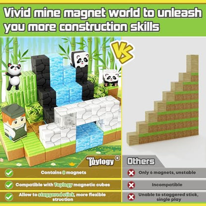 Magnetic Blocks (70 count)