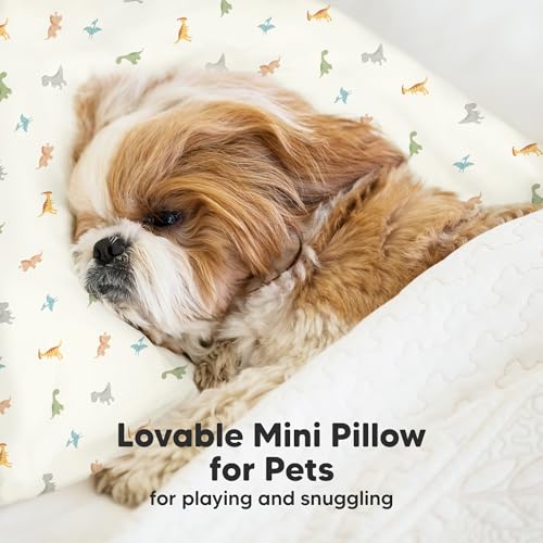 Mini Toddler Pillow with Pillowcase